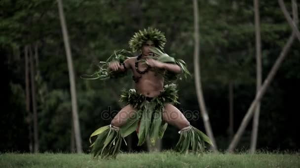 Danseuse polynésienne divertissante en costume — Video