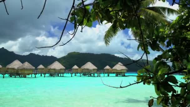 Palmen und Bungalows in Bora Bora — Stockvideo
