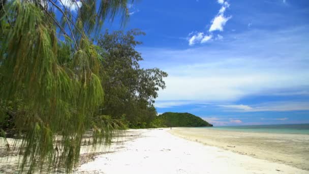 Spiaggia tropicale con mare — Video Stock