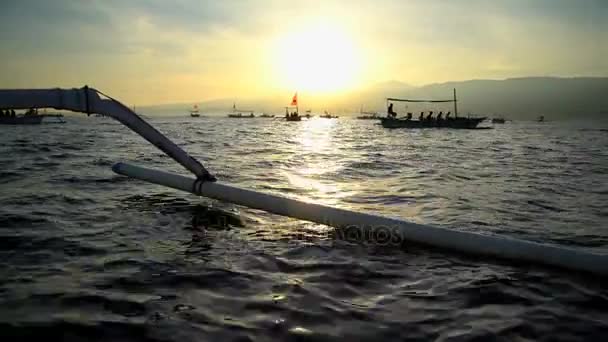 Tourists enjoying dolphin watching — Stock Video