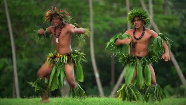 Hombres bailando hula war dance — Vídeo de stock