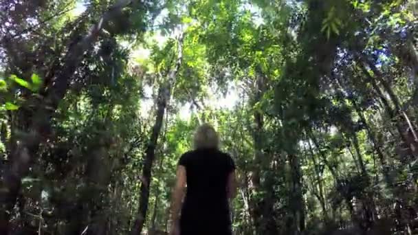 Female walking through woodland Boardwalk — Stock Video
