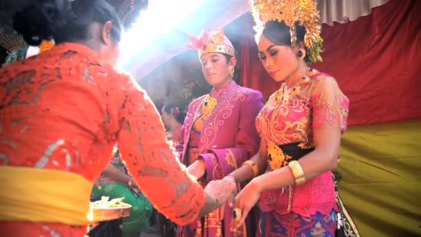 Gelin ve damat törenle evlendi — Stok video