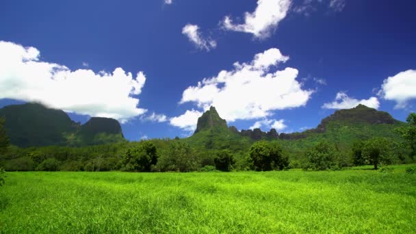 Tahitian προσήνεμη σειρά βουνών — Αρχείο Βίντεο