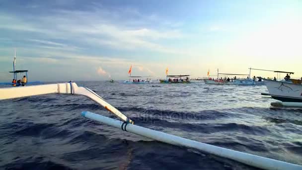 Delfines nadando cerca de barcos — Vídeos de Stock