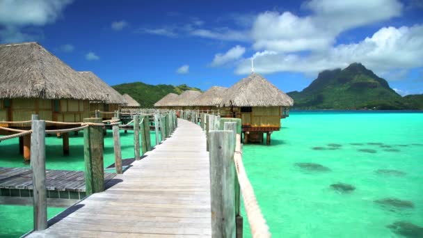 Pasarela Isla Bora Bora en laguna — Vídeo de stock