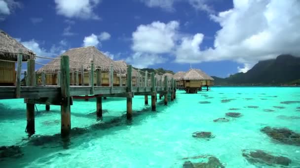 Gångväg till Overwater Bungalows i resort — Stockvideo