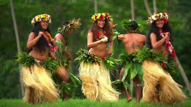Танцоры Полинезии развлекаются в костюмах — стоковое видео