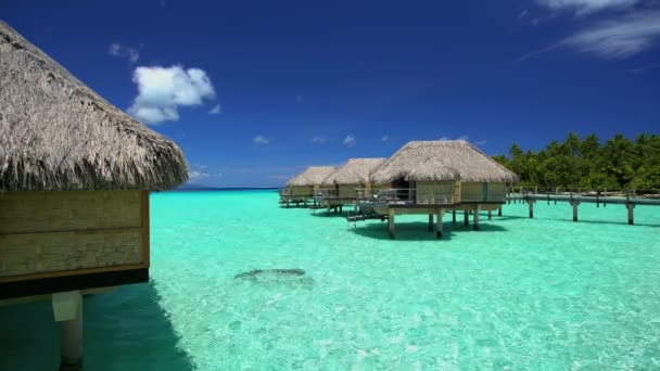 Nad wodą luksusowe bungalowy z Bora Bora — Wideo stockowe