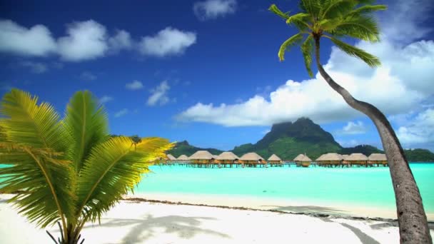 Bungalowy w laguny Bora Bora — Wideo stockowe