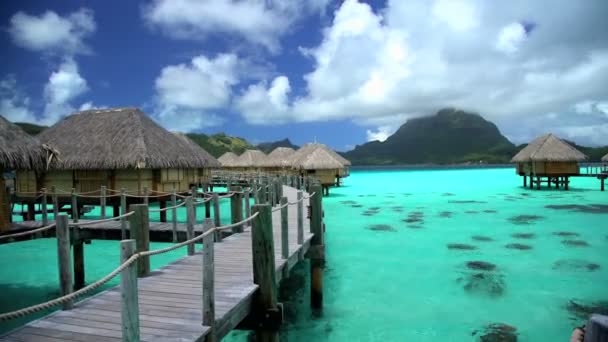 Overwater luxe Bungalows van Bora Bora — Stockvideo