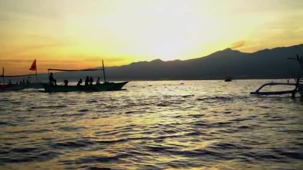 Туристы наслаждаются дельфинами часы — стоковое видео