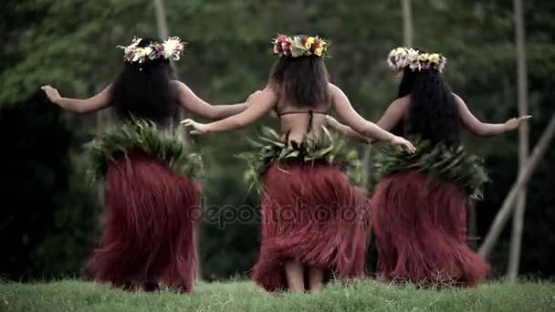 Danseurs de hula exécutant en plein air — Video