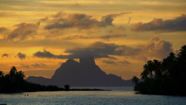 ボラボラ島の熱帯の島の夕日 — ストック動画