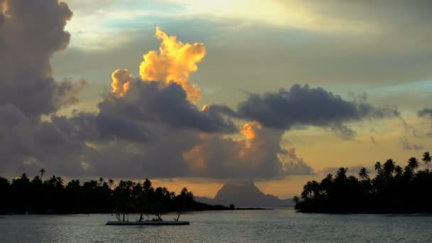 ボラボラ島の熱帯の島の夕日 — ストック動画