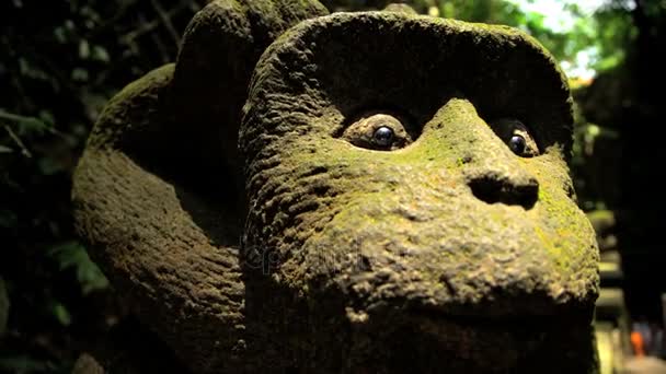 Gebeeldhouwde aap gezicht in stenen standbeeld — Stockvideo