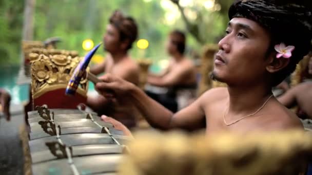 Gruppo gamelan che suona in performance — Video Stock