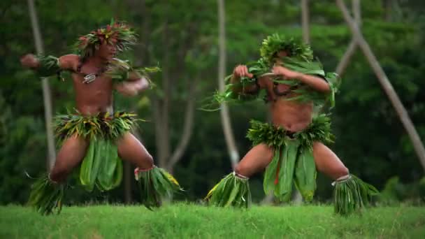 Les hommes exécutant la danse hula — Video