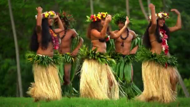 Bailarines polinesios entreteniendo al aire libre — Vídeos de Stock