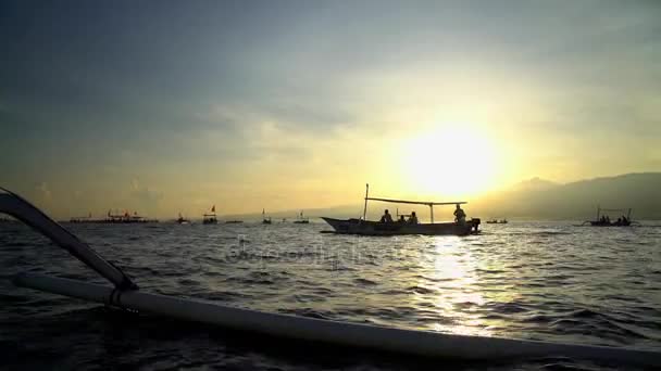 Turistas disfrutando de reloj de delfines — Vídeos de Stock