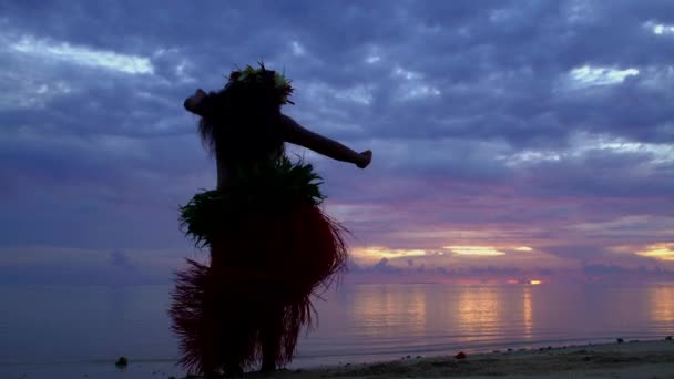 Danza femenina en hula tradicional — Vídeo de stock