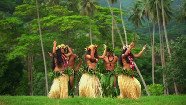 Men with girls dancing hula — Stock Video