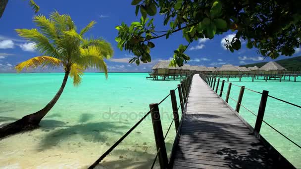 Bungalows de luxo de Bora Bora — Vídeo de Stock