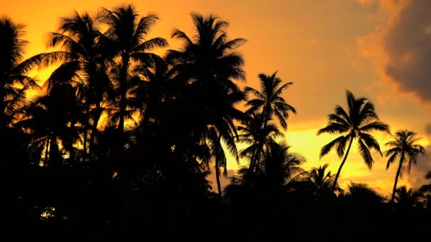 Paesaggio nuvoloso al tramonto di Bora Bora Island — Video Stock