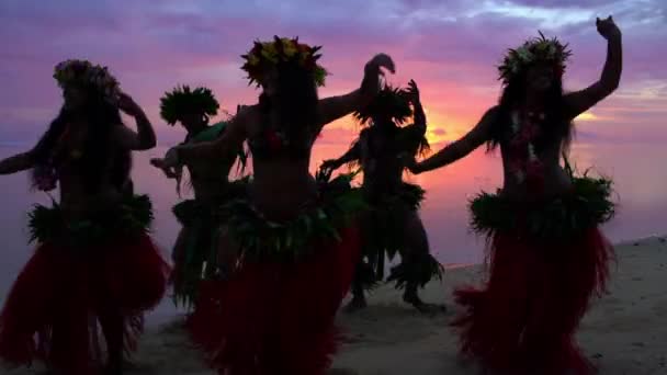 Bailarines polinesios entretenidos en trajes — Vídeos de Stock