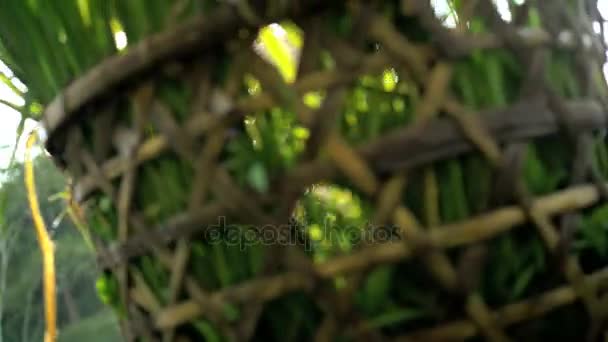 Worker carrying baskets of rice crop — Stock Video