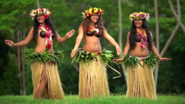 Hula танцюристи виступають на відкритому повітрі — стокове відео