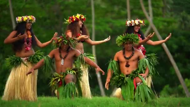 Danseurs de hula exécutant en plein air — Video