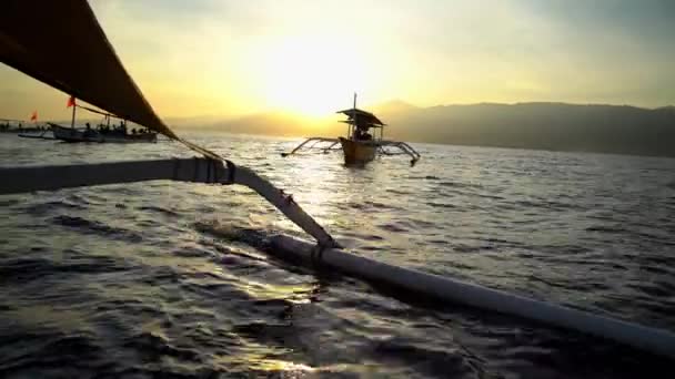 Turistas disfrutando de reloj de delfines — Vídeos de Stock