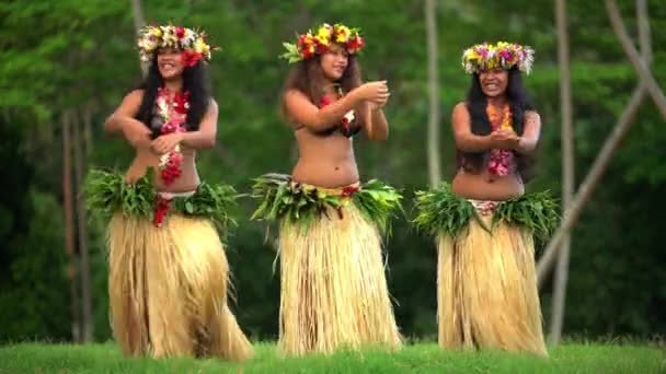 Danseurs polynésiens divertissants en costumes — Video