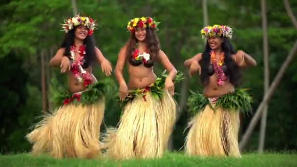 Meninas dançando hula — Vídeo de Stock