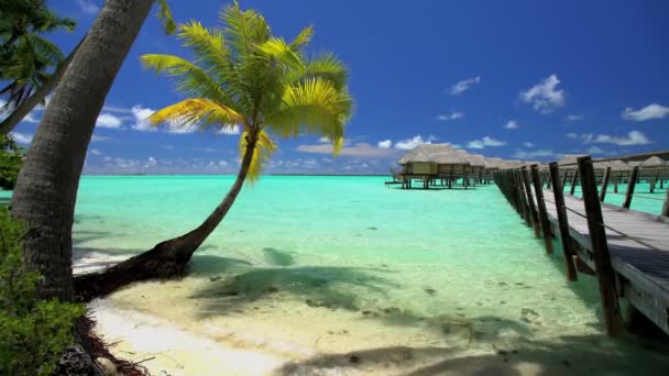 Lüks bungalov Bora Bora — Stok video