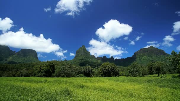 Tahiti, Moorea, Fracouzská Polynésie — Stock video