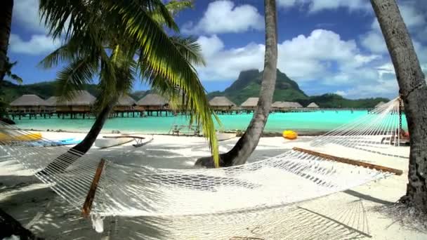 Hängematte an einem tropischen Strand — Stockvideo