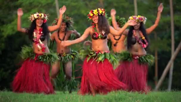 Bailarines hula realizando al aire libre — Vídeo de stock