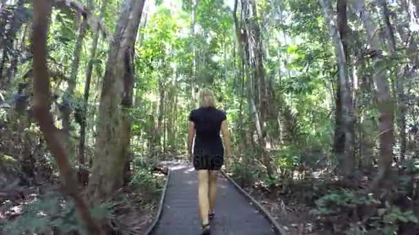 Tahta üzerinde yürüyen kadın — Stok video