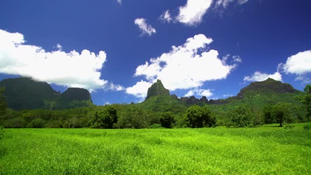 Tahitische Gebirgskette in Windrichtung — Stockvideo
