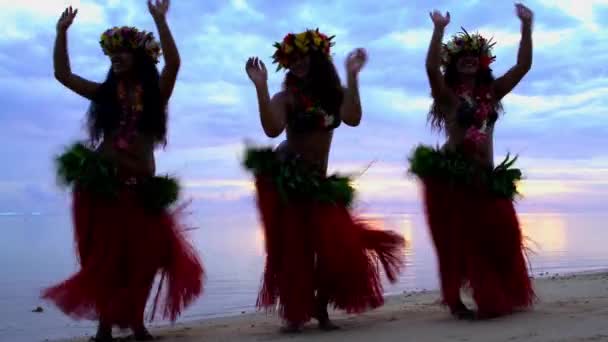 Polynesiska kvinnor dansar på stranden — Stockvideo