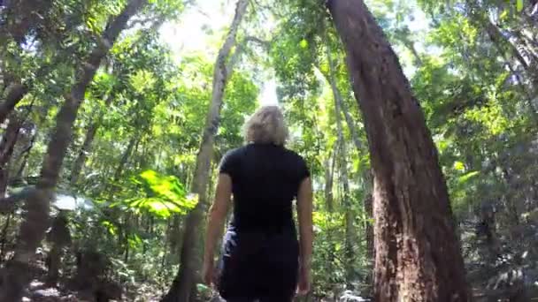 Женщина, идущая по лесной набережной — стоковое видео