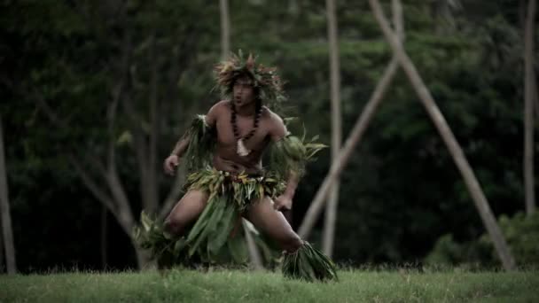 Macho realizando hula dance — Vídeos de Stock