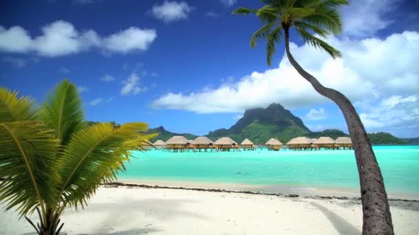 Bungalows in de lagune van Bora Bora — Stockvideo