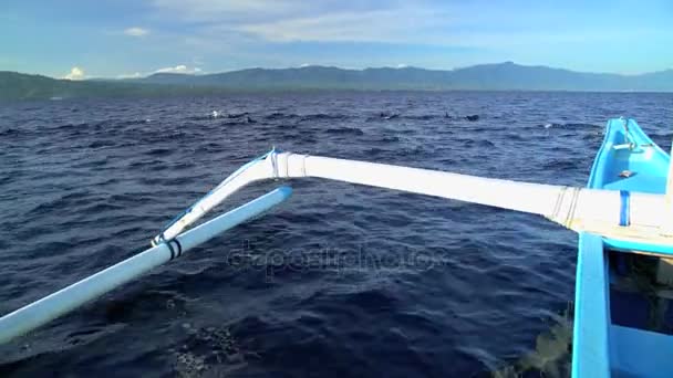 Golfinhos nadando perto de barco Outrigger — Vídeo de Stock