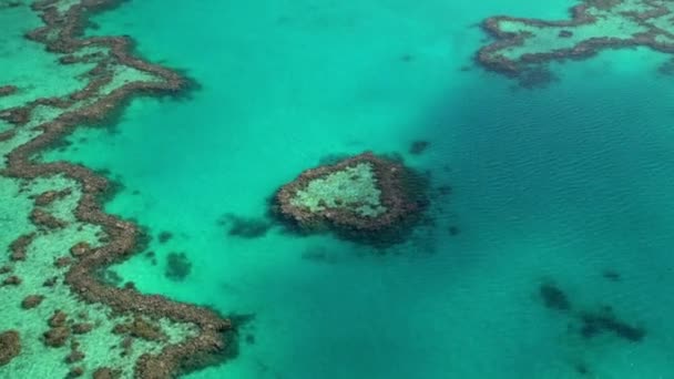 Isla del Corazón, Gran Barrera de Coral — Vídeo de stock