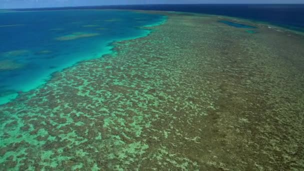 Great Barrier, Australia — Stock Video