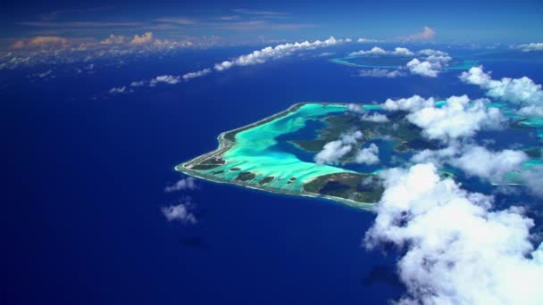 Tupai Bora Bora i wyspie Tahaa — Wideo stockowe