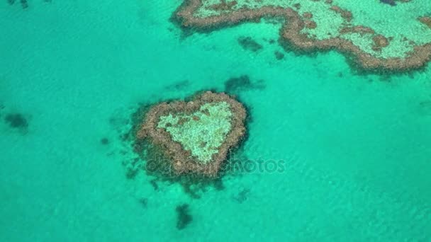 Остров сердца, Большой Барьерный риф — стоковое видео